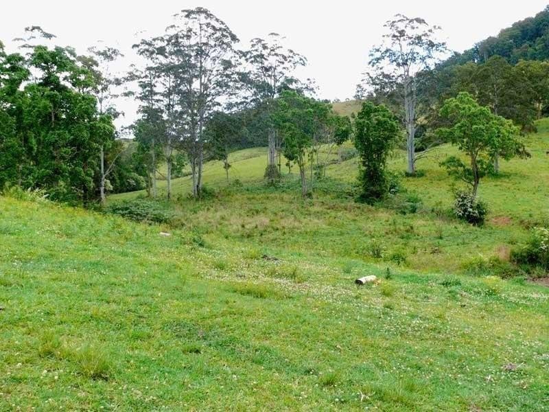 Kindee NSW 2446