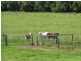 Wauchope NSW 2446