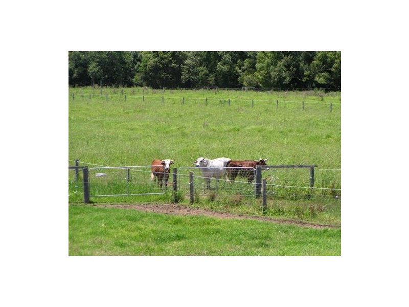 Wauchope NSW 2446