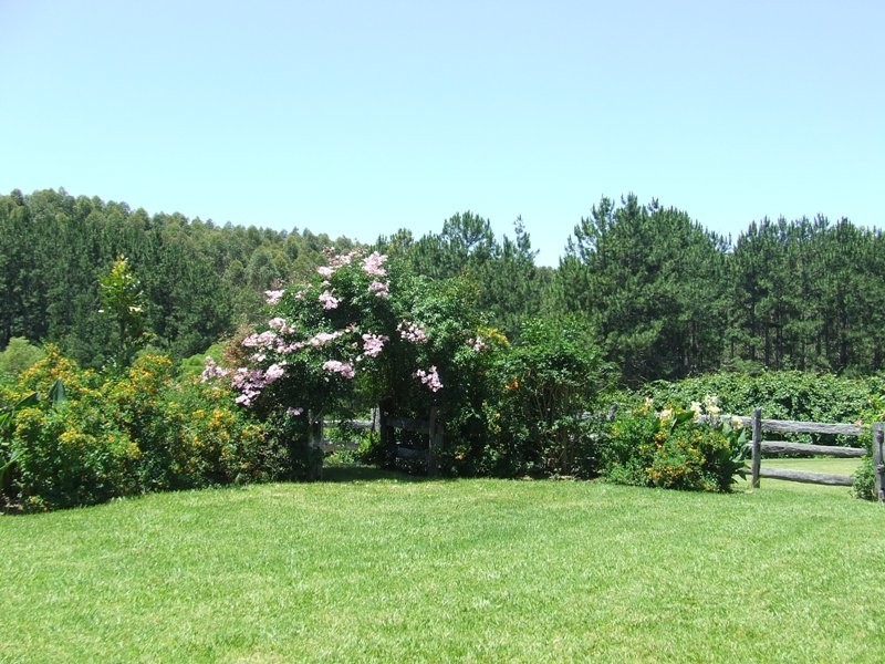 Stewarts River NSW 2443