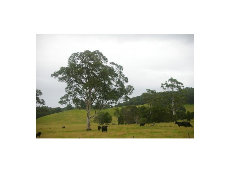 Gum Scrub NSW 2441