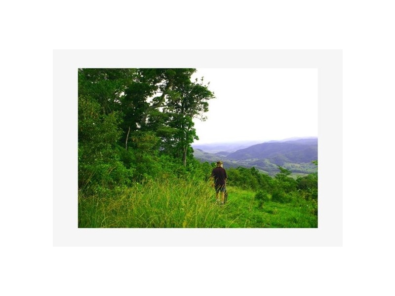 Pappinbarra NSW 2446