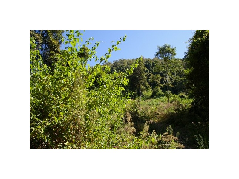 Pappinbarra NSW 2446