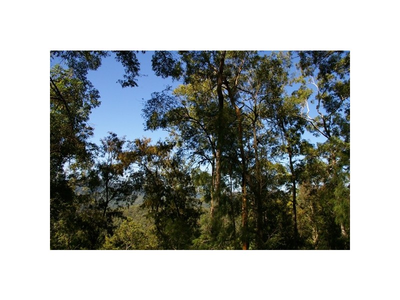 Pappinbarra NSW 2446