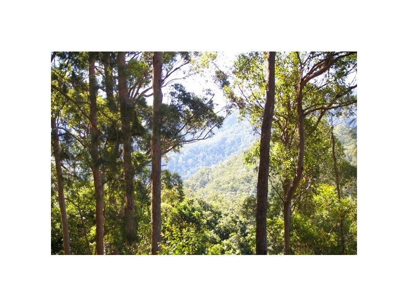 Pappinbarra NSW 2446