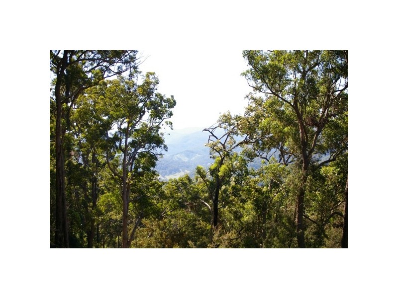 Pappinbarra NSW 2446