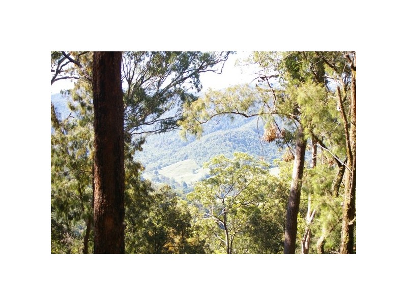 Pappinbarra NSW 2446