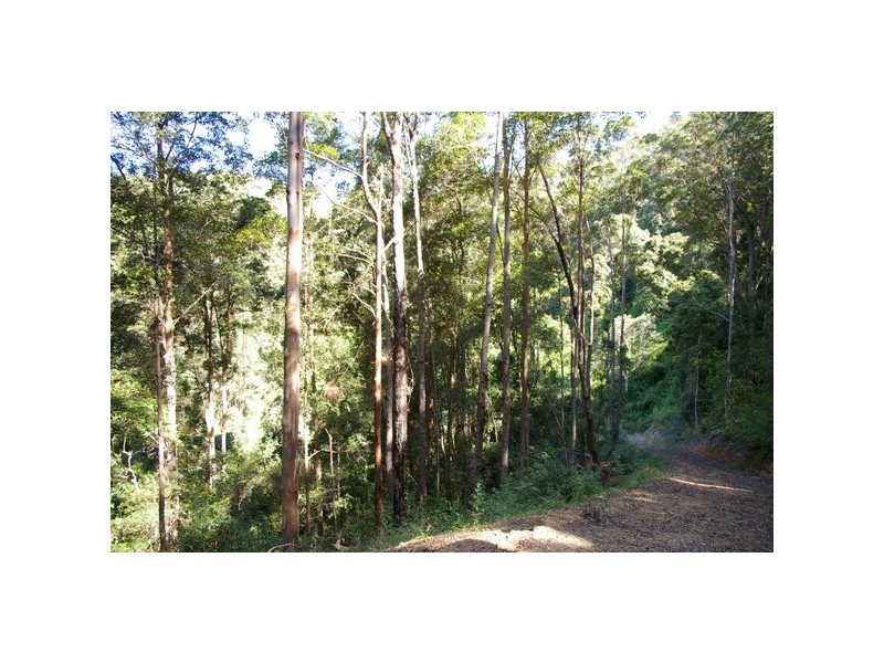 Pappinbarra NSW 2446