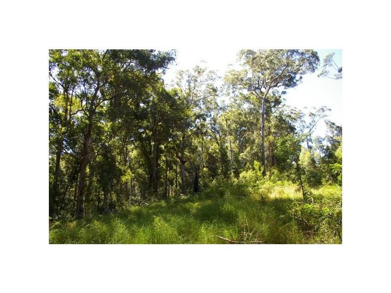 Pappinbarra NSW 2446