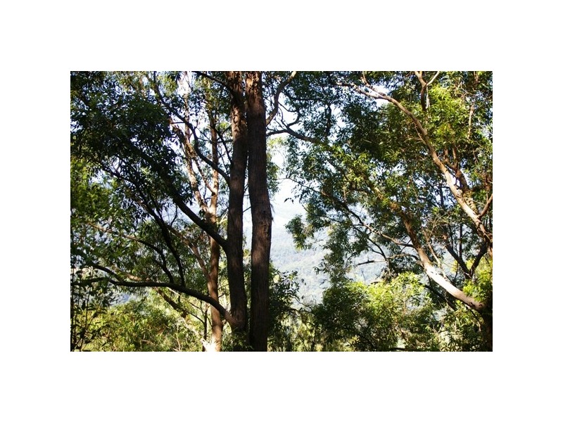 Pappinbarra NSW 2446