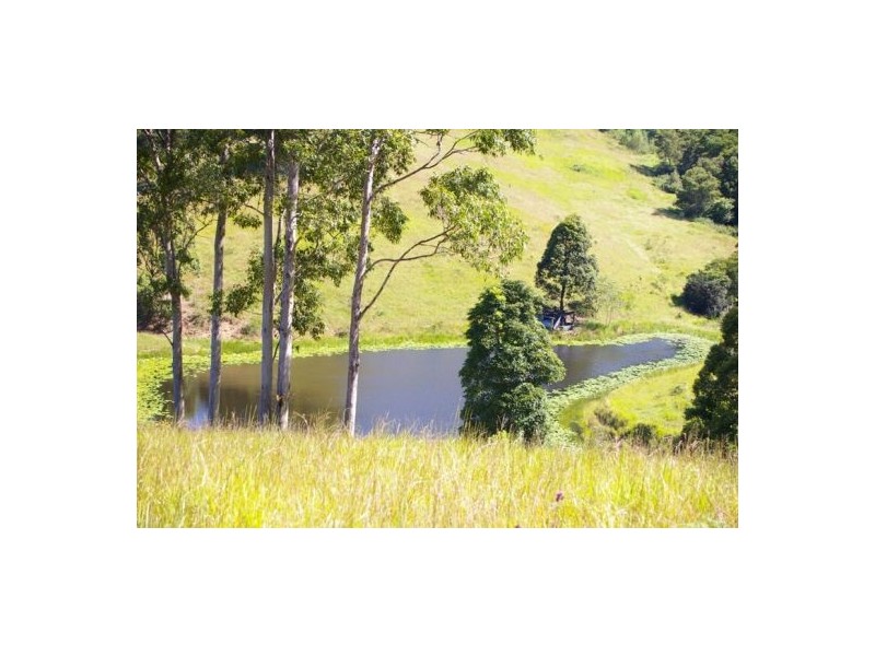 Taylors Arm NSW 2447