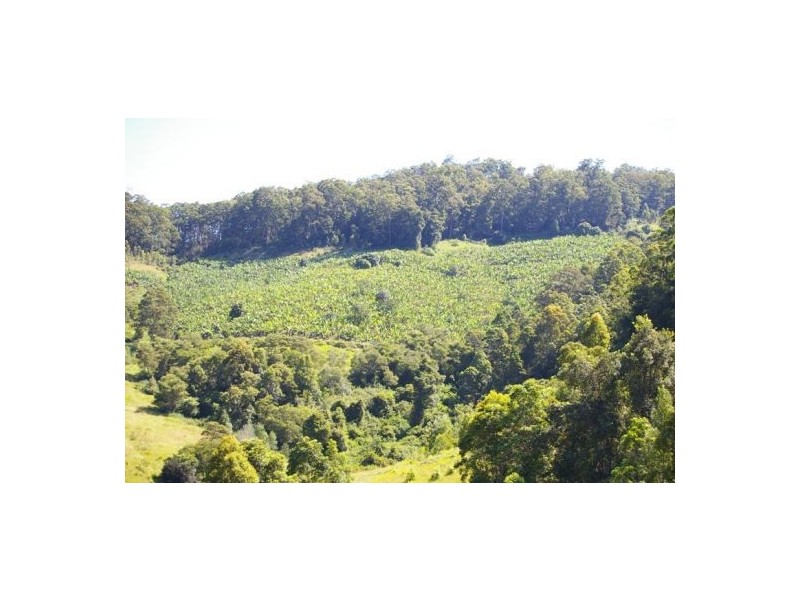 Taylors Arm NSW 2447