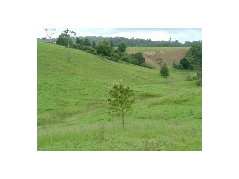 Taylors Arm NSW 2447