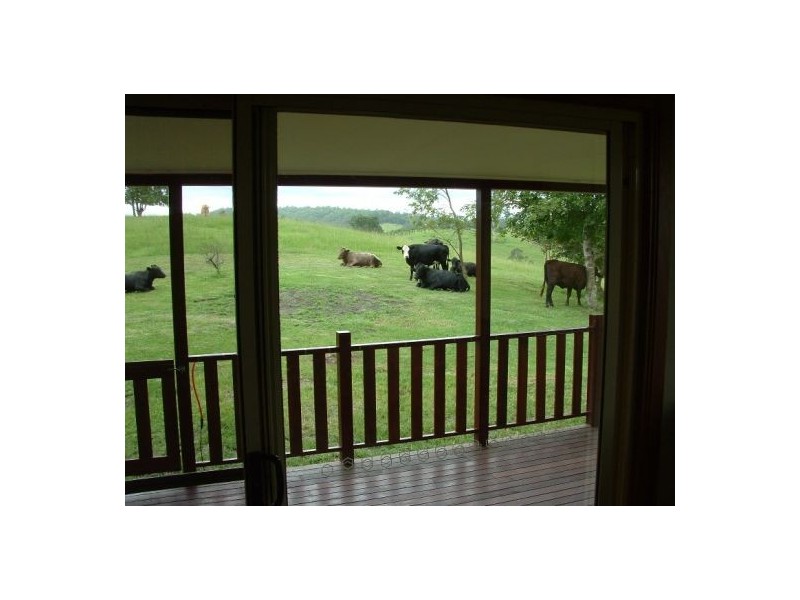 Taylors Arm NSW 2447