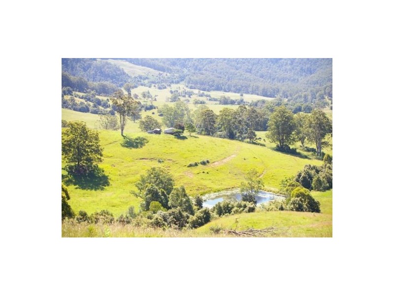 Taylors Arm NSW 2447