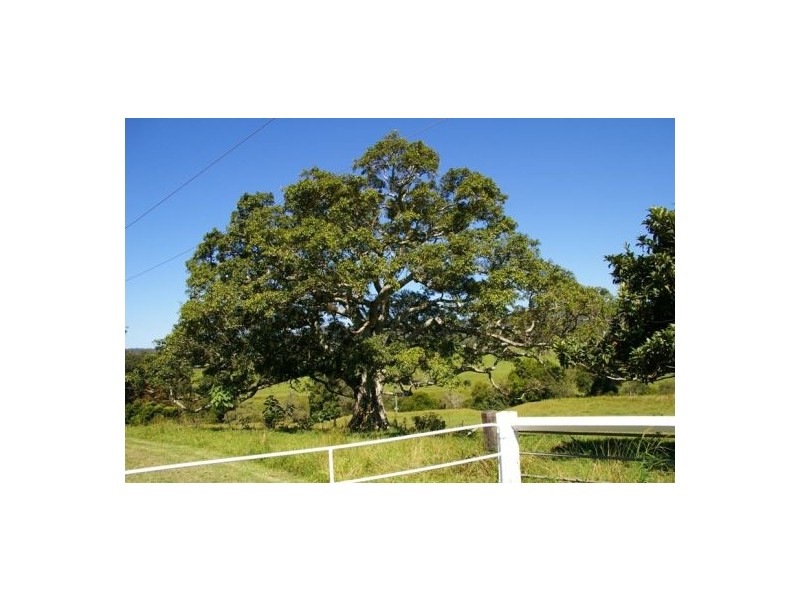 Taylors Arm NSW 2447