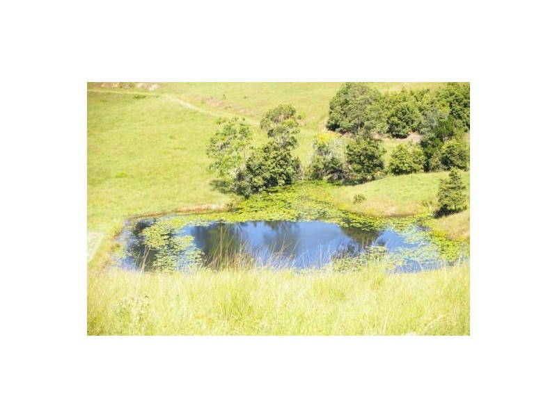 Taylors Arm NSW 2447