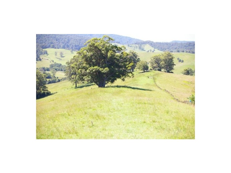 Taylors Arm NSW 2447