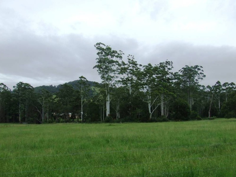 Hannam Vale NSW 2443