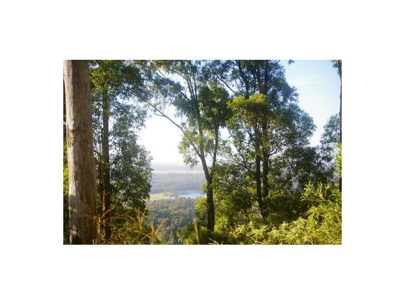 Telegraph Point NSW 2441