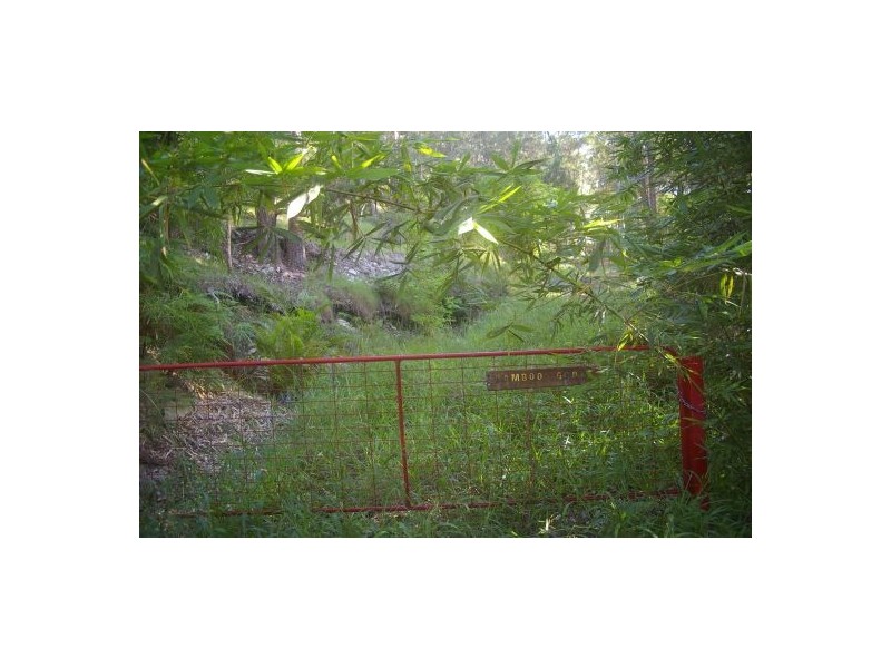 Telegraph Point NSW 2441