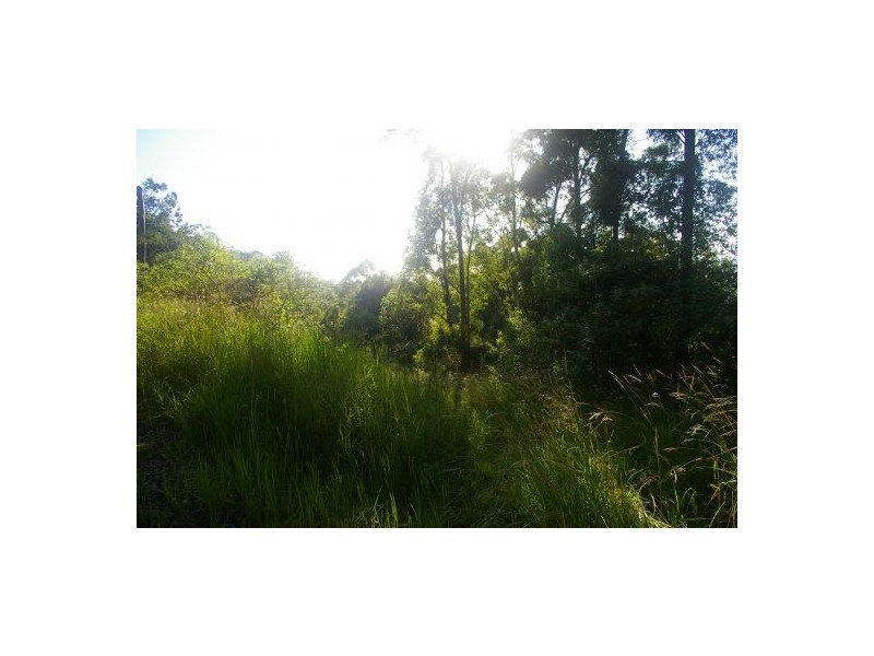 Telegraph Point NSW 2441