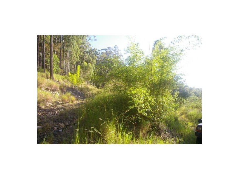 Telegraph Point NSW 2441