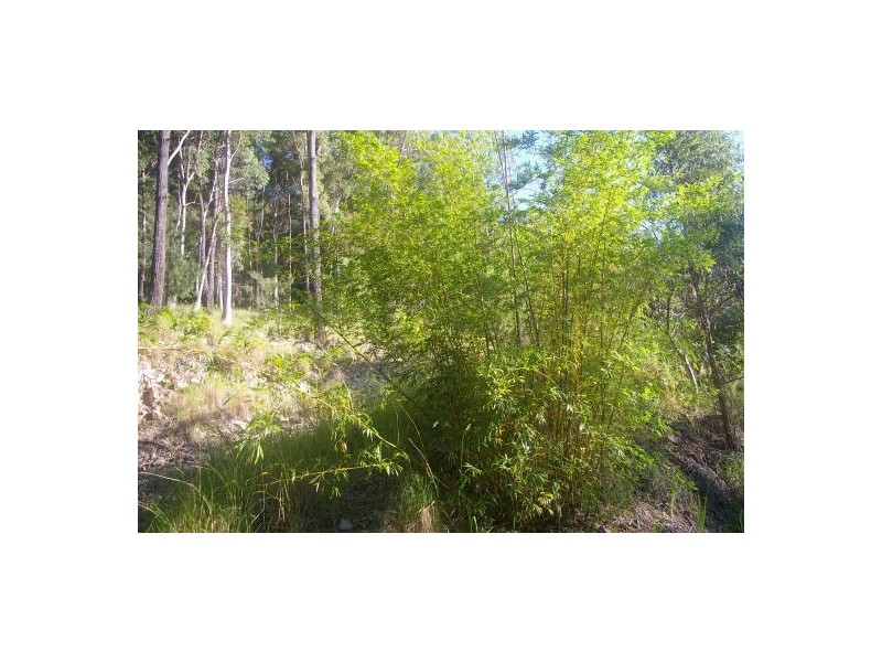 Telegraph Point NSW 2441