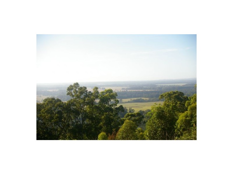 Telegraph Point NSW 2441