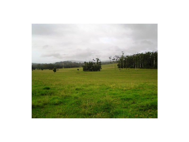 Lake Innes NSW 2446