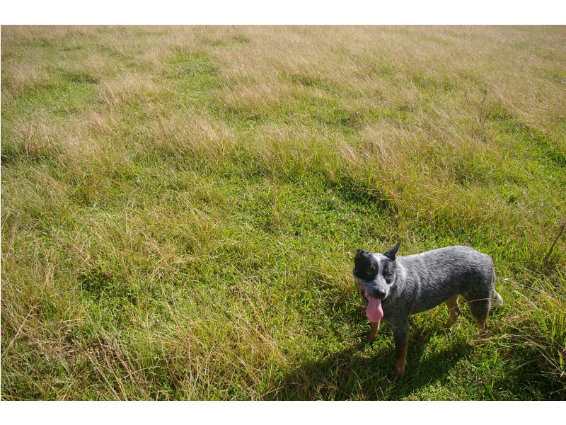 Herons Creek NSW 2443