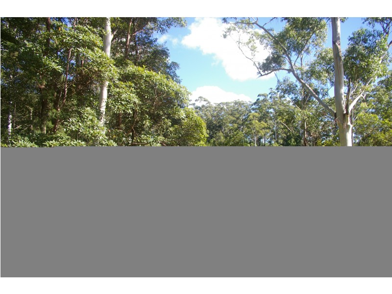 Herons Creek NSW 2443