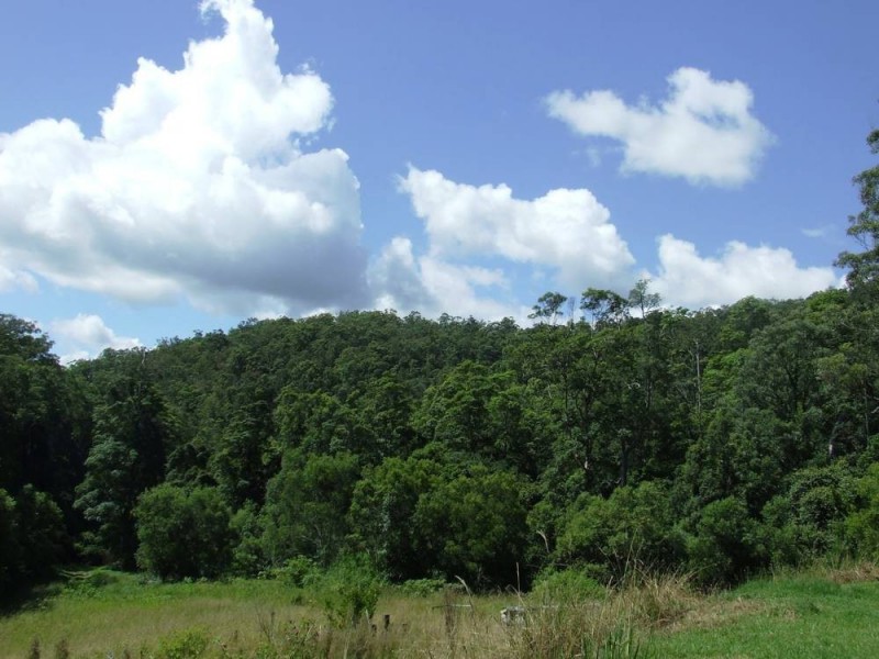 Pappinbarra NSW 2446