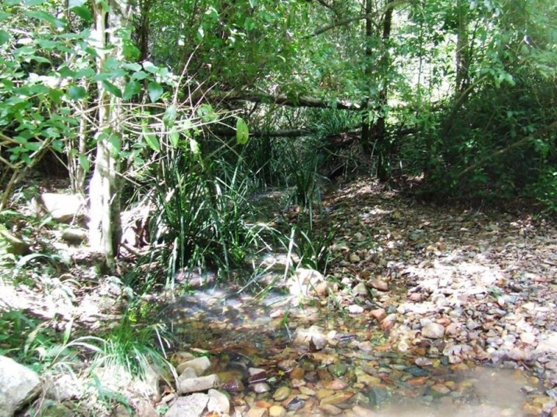 Pappinbarra NSW 2446