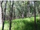 Pappinbarra NSW 2446