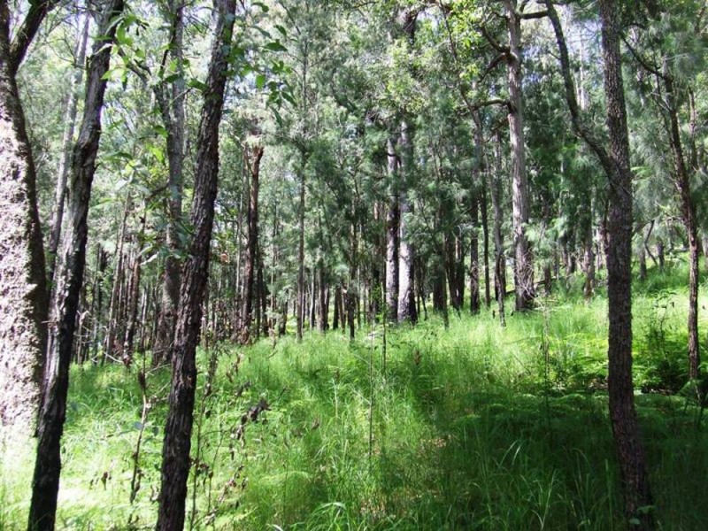 Pappinbarra NSW 2446
