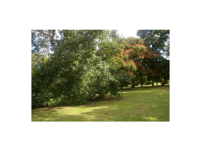 Telegraph Point NSW 2441