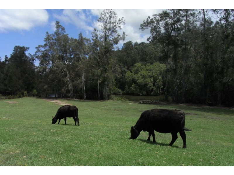 Port Macquarie NSW 2444