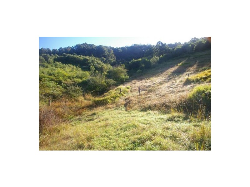 Beechwood NSW 2446