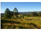 Beechwood NSW 2446