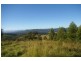 Beechwood NSW 2446
