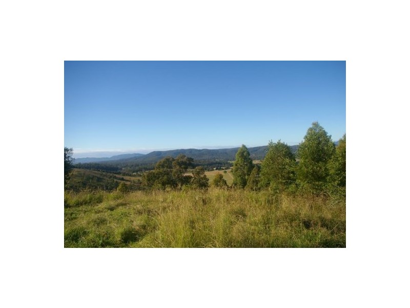 Beechwood NSW 2446