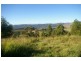 Beechwood NSW 2446