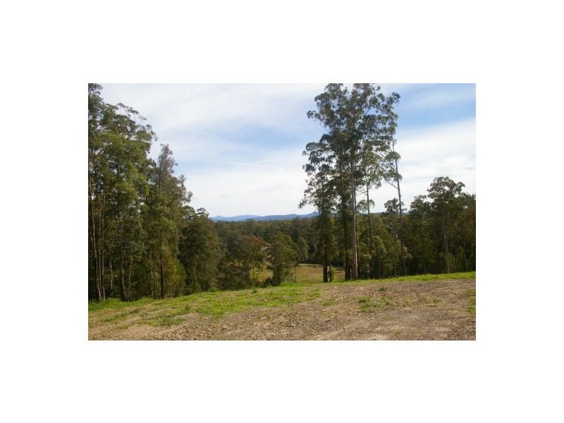 King Creek NSW 2446