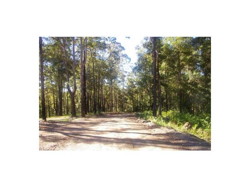 King Creek NSW 2446