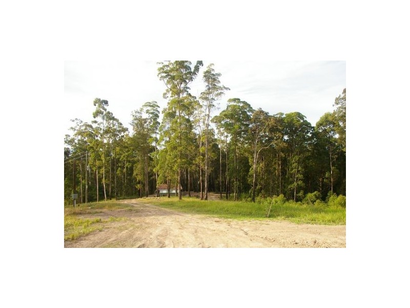 King Creek NSW 2446