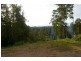 King Creek NSW 2446