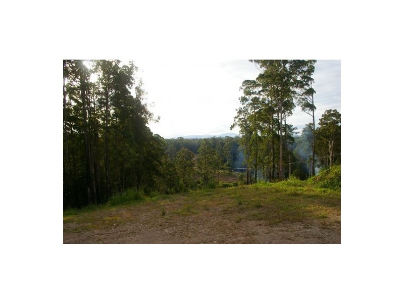 King Creek NSW 2446