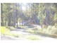 King Creek NSW 2446