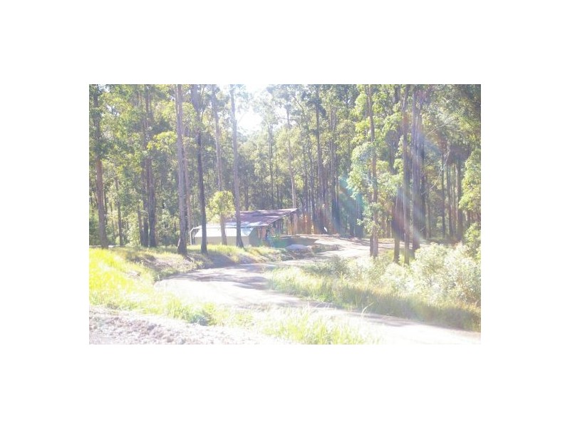 King Creek NSW 2446
